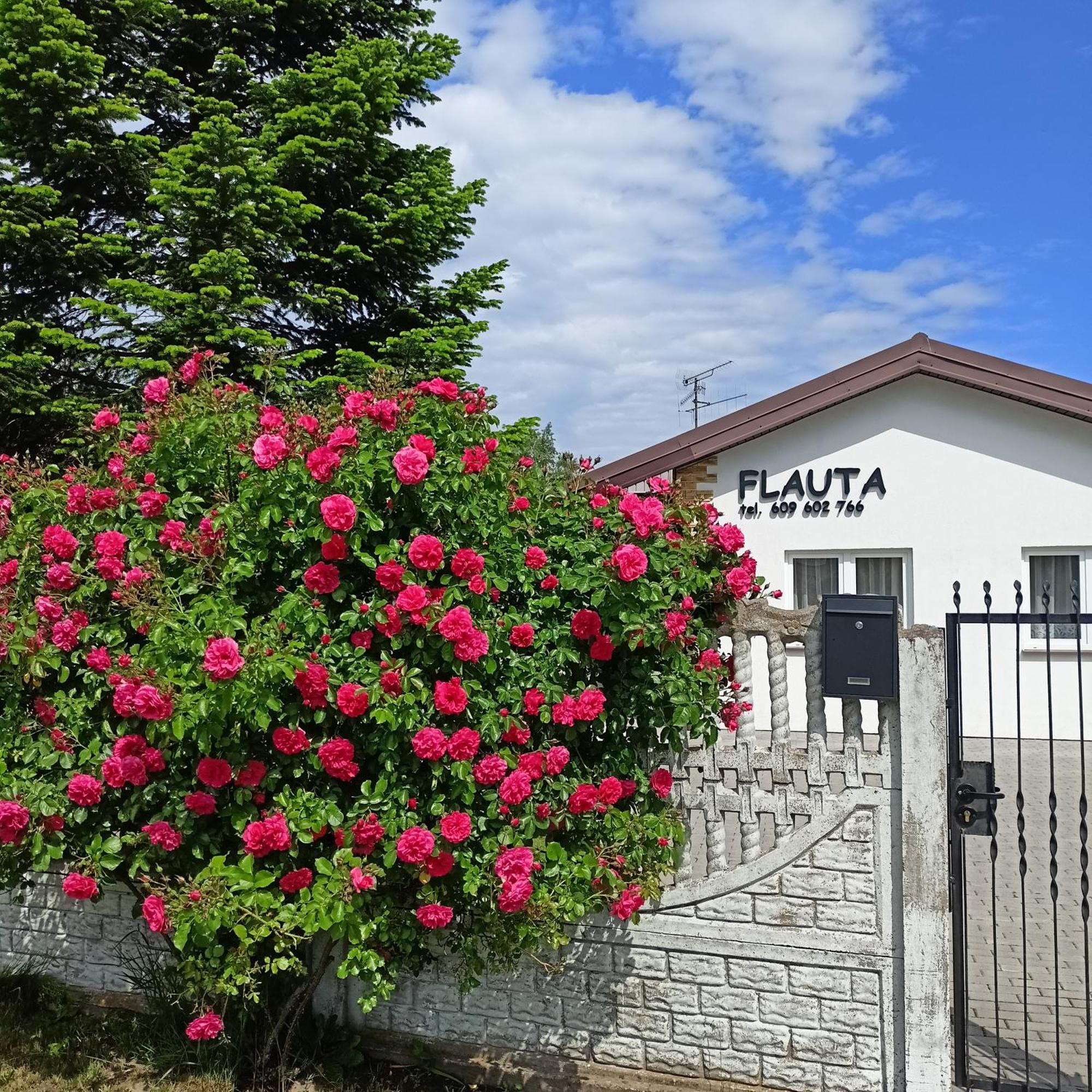 Flauta Apartamenty Rodzinne Mielenko Exterior foto
